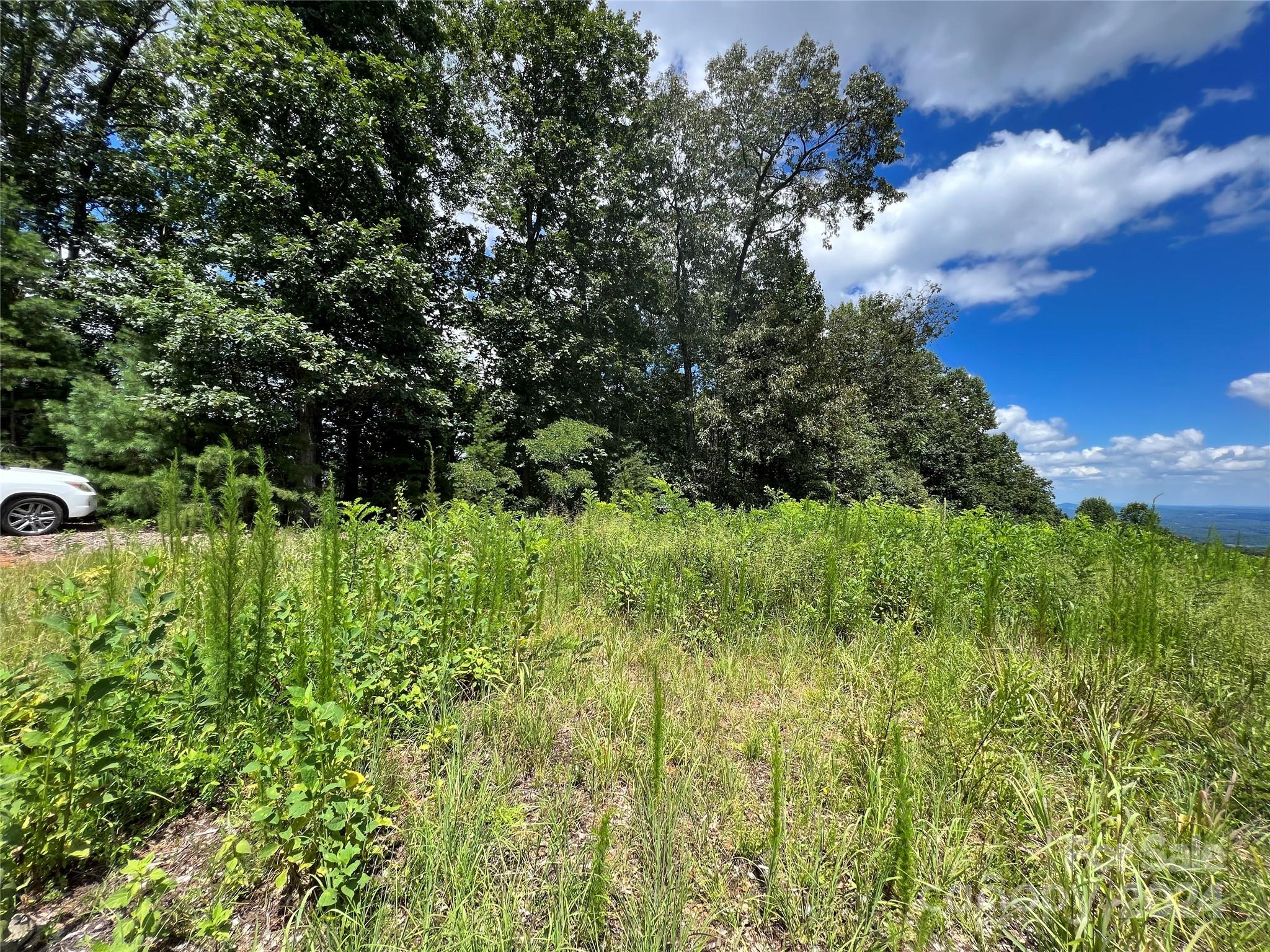 Chestnut Mountain Farms - Land