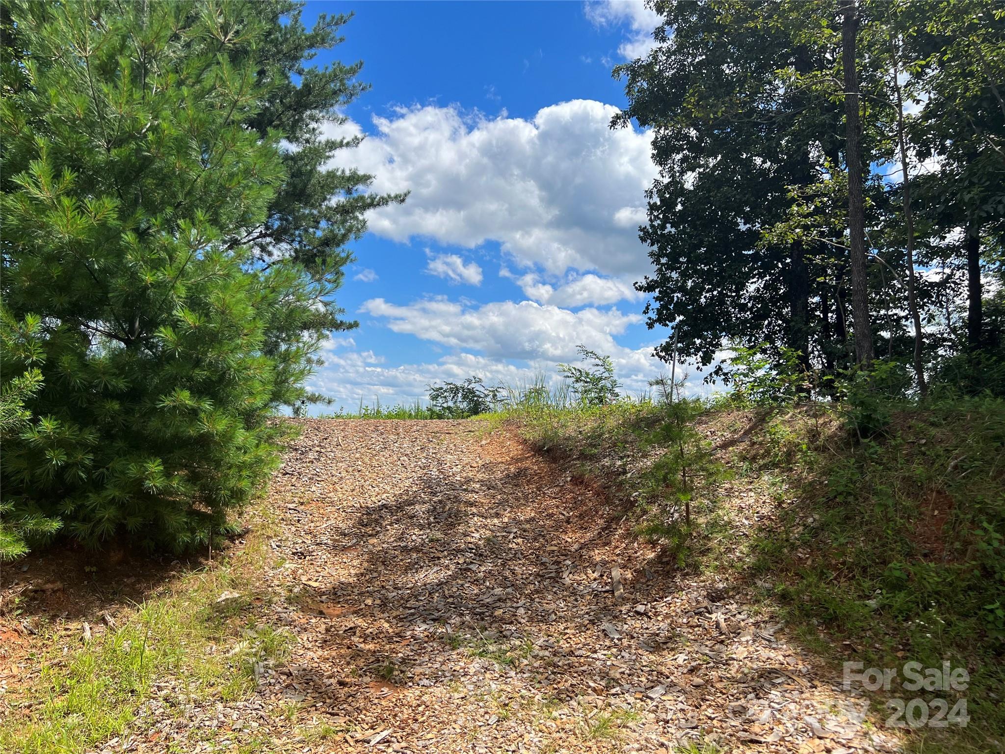 Chestnut Mountain Farms - Land