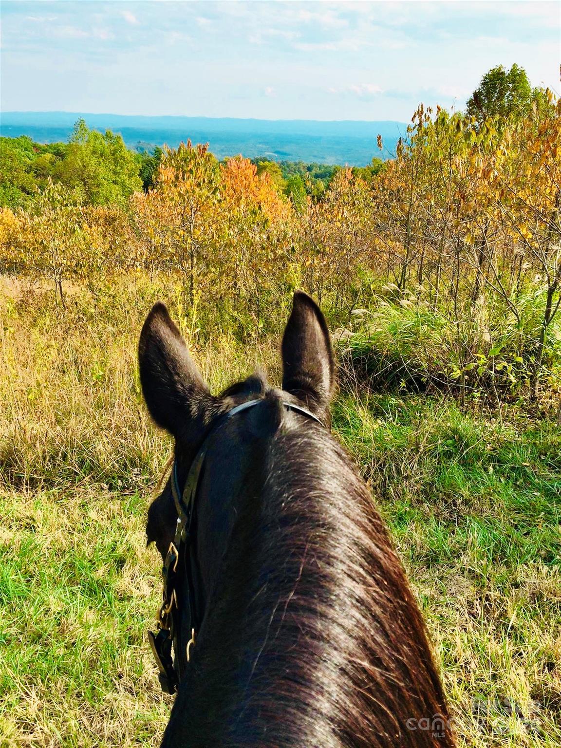 Chestnut Mountain Farms - Land