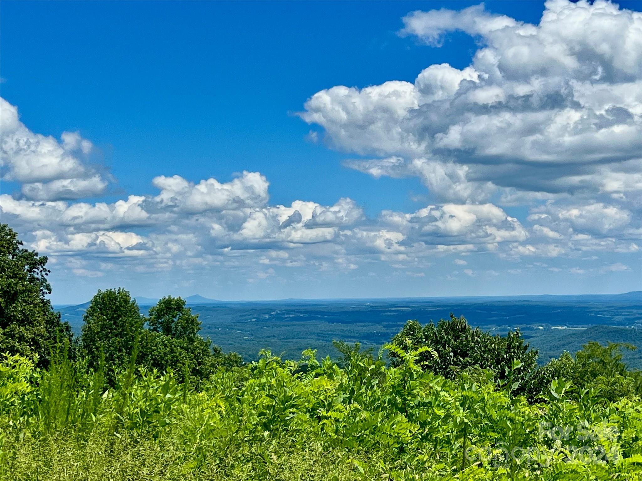 Chestnut Mountain Farms - Land