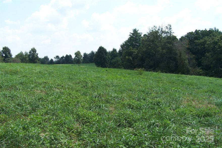 Looking for a perfect place to build your dream farm/estate look no further. 2nd Broad River frontage, Mountain Views, established grass for your animals and city water on the street.