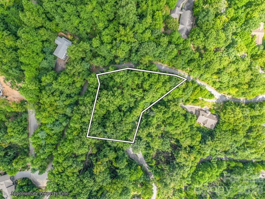 CRESTVIEW DR, BLACK MOUNTAIN, NC 28711 - Image ccab9a19ba02470307ded488f2d4c8f4/1935455659