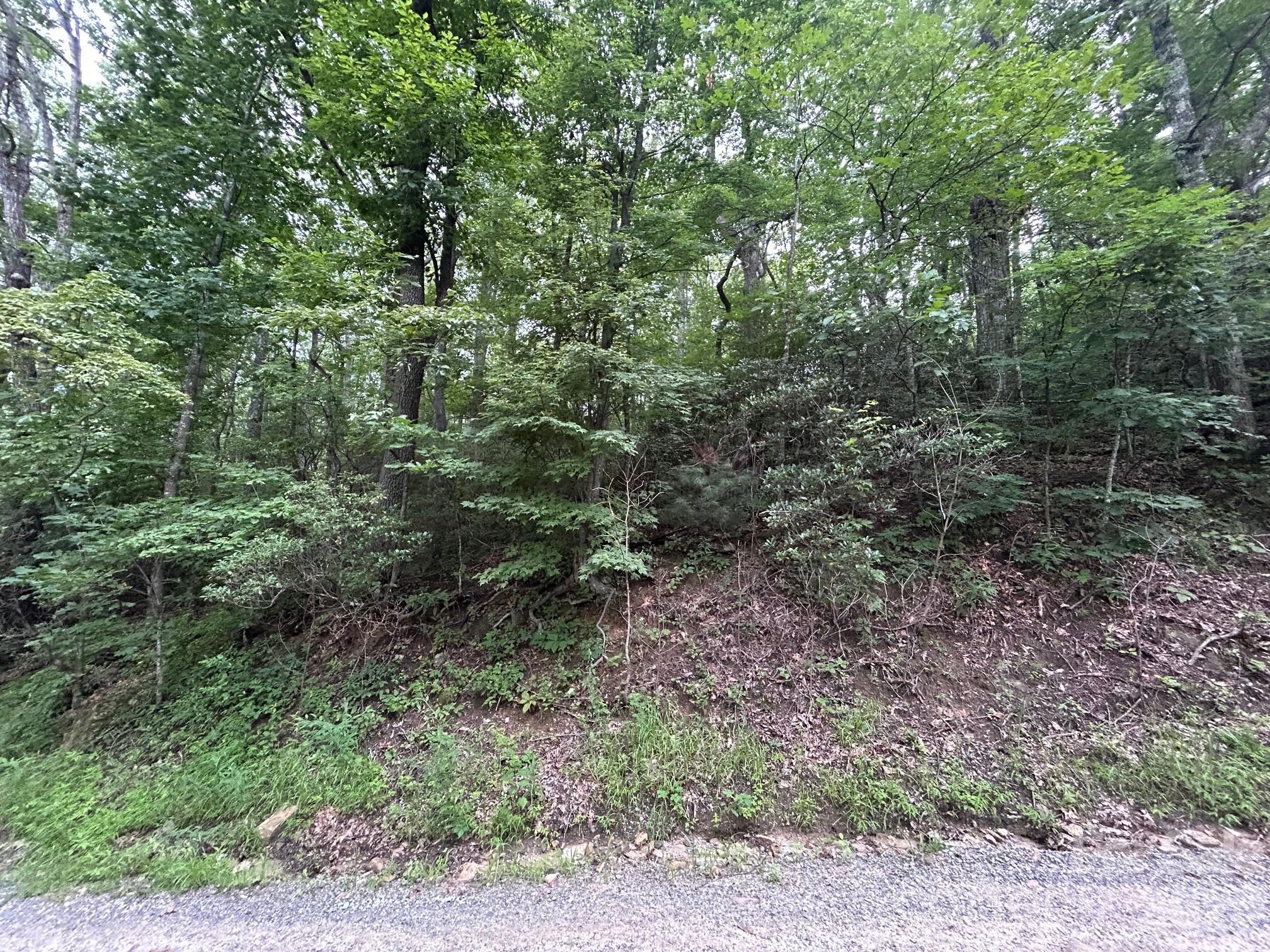 0 Pine Ridge Road 21