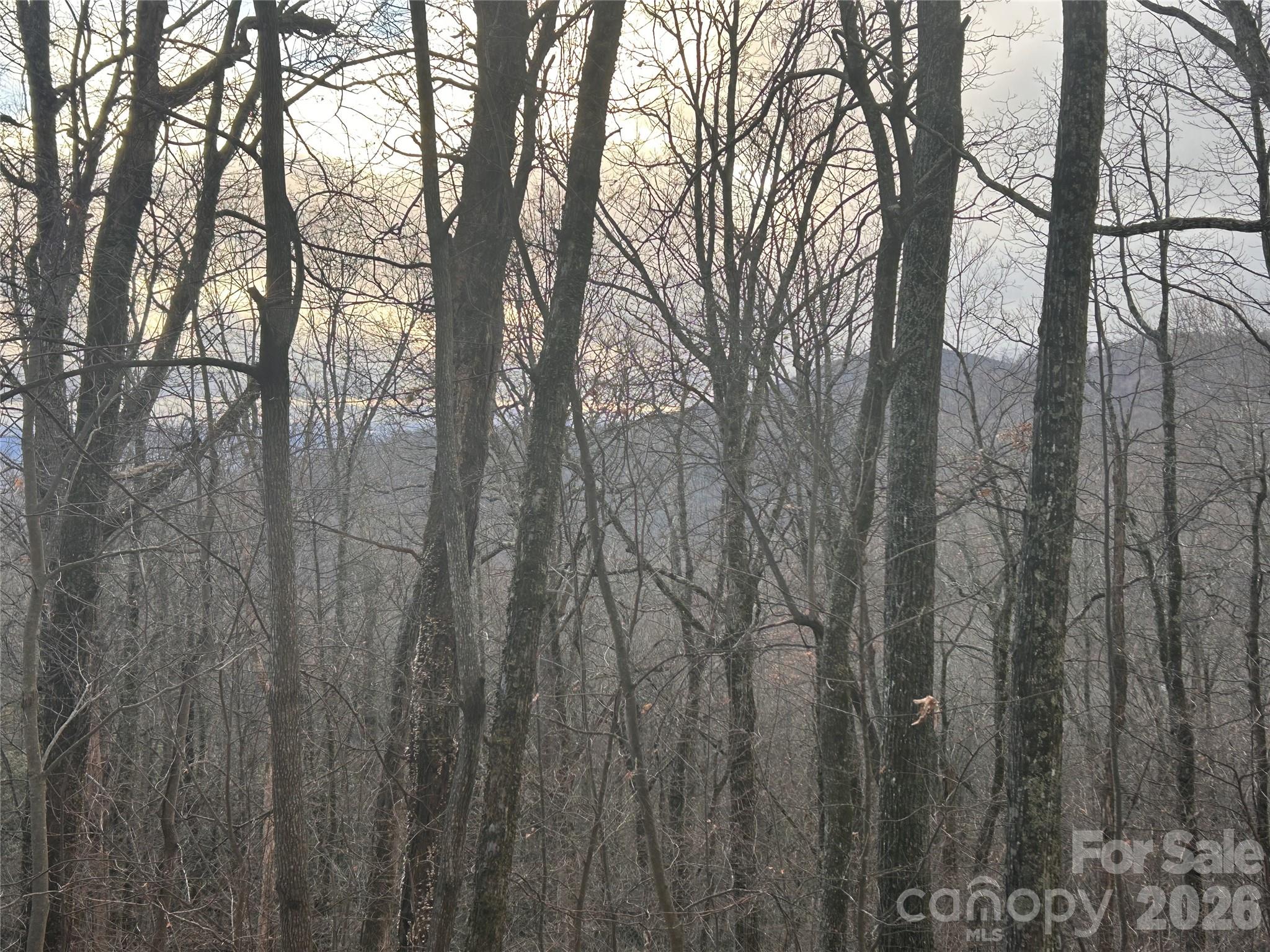 Hickory Acres - Land