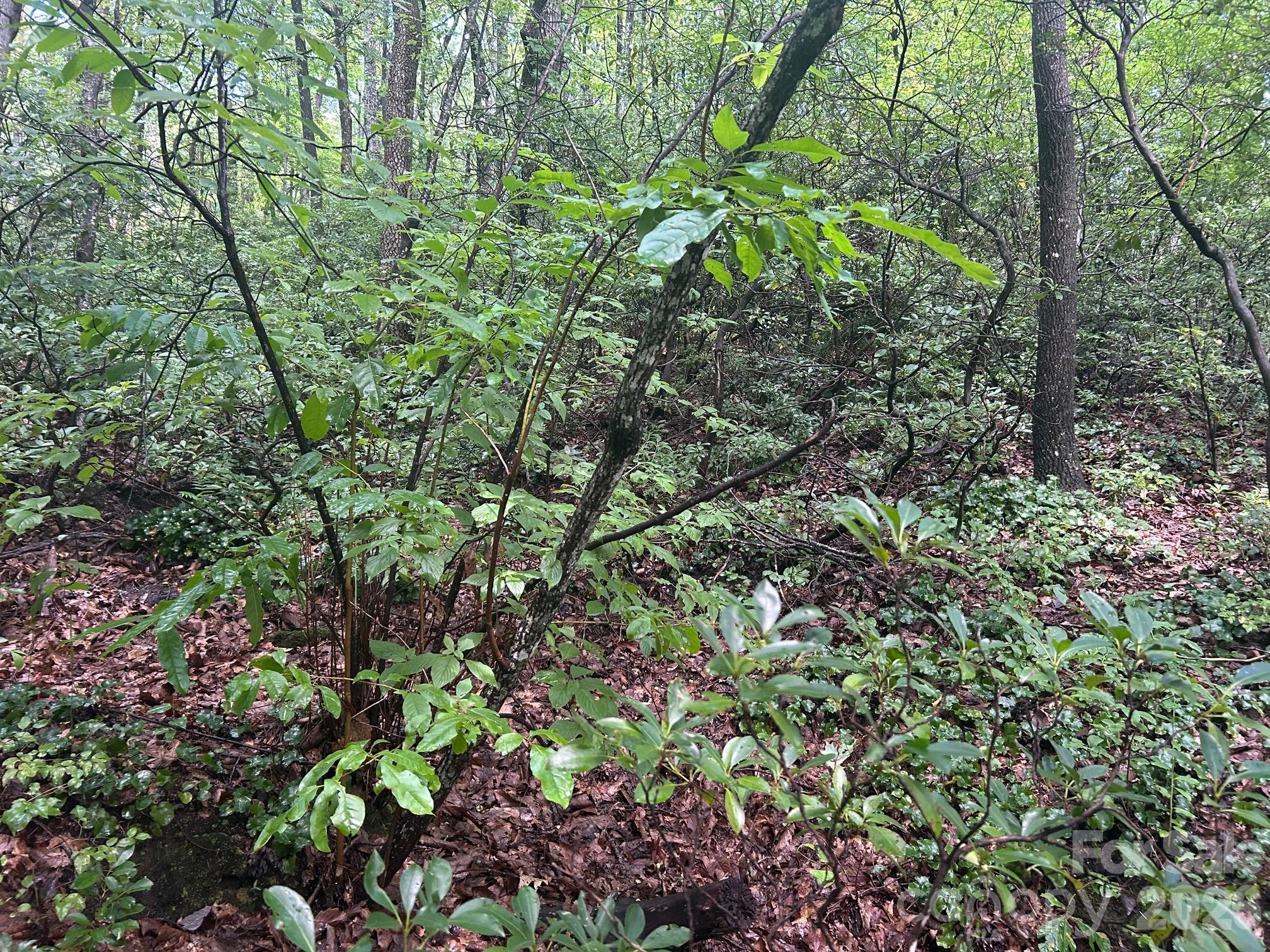 Hickory Acres - Land