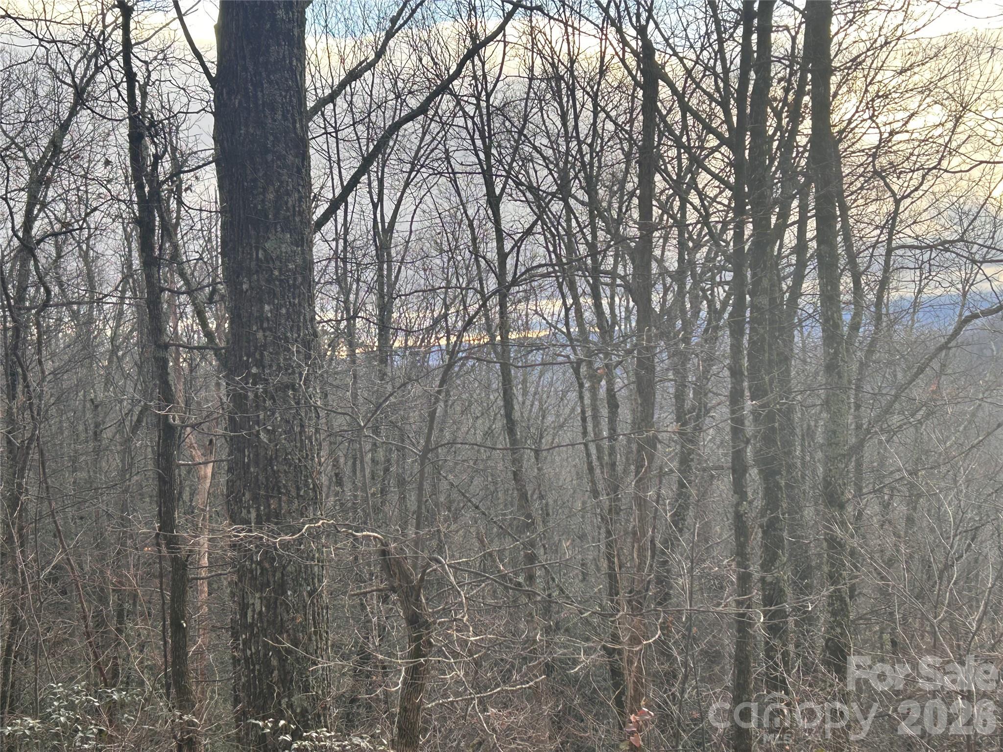 Hickory Acres - Land