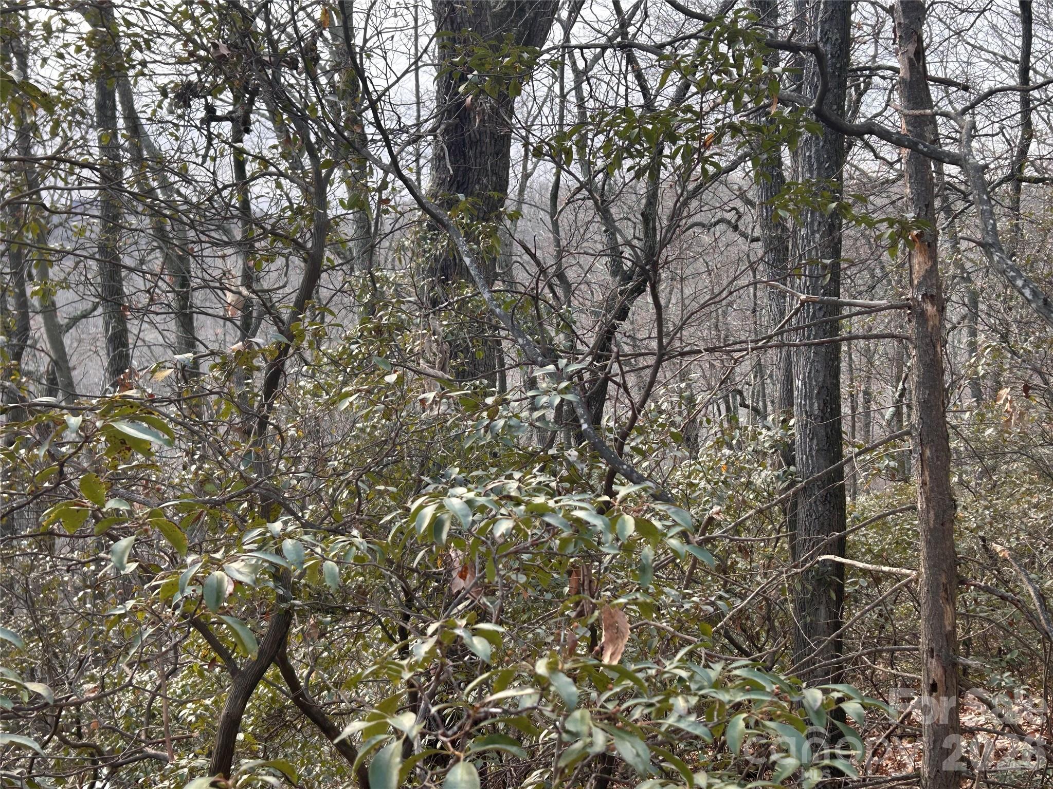 Hickory Acres - Land