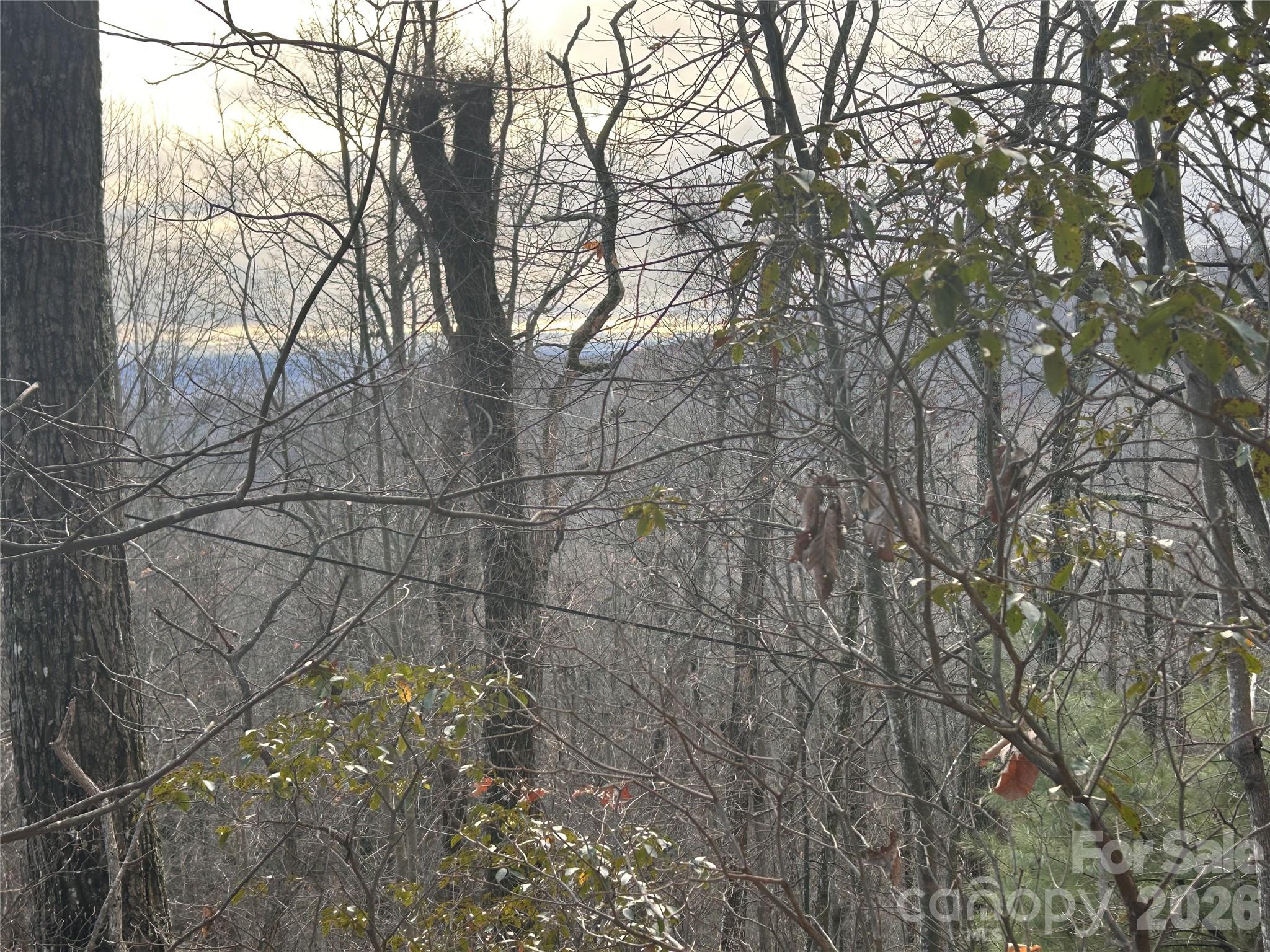 Hickory Acres - Land