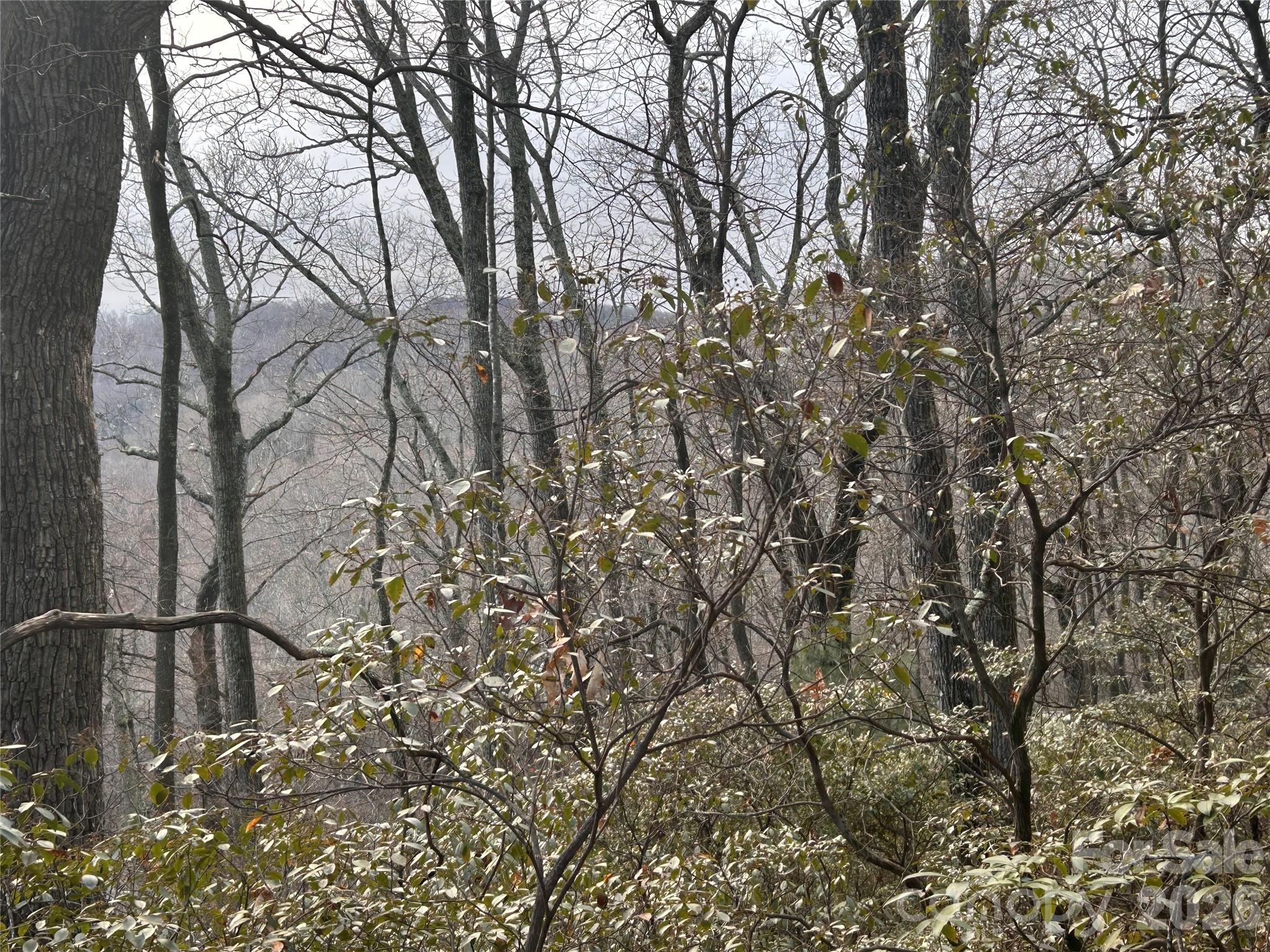 Hickory Acres - Land