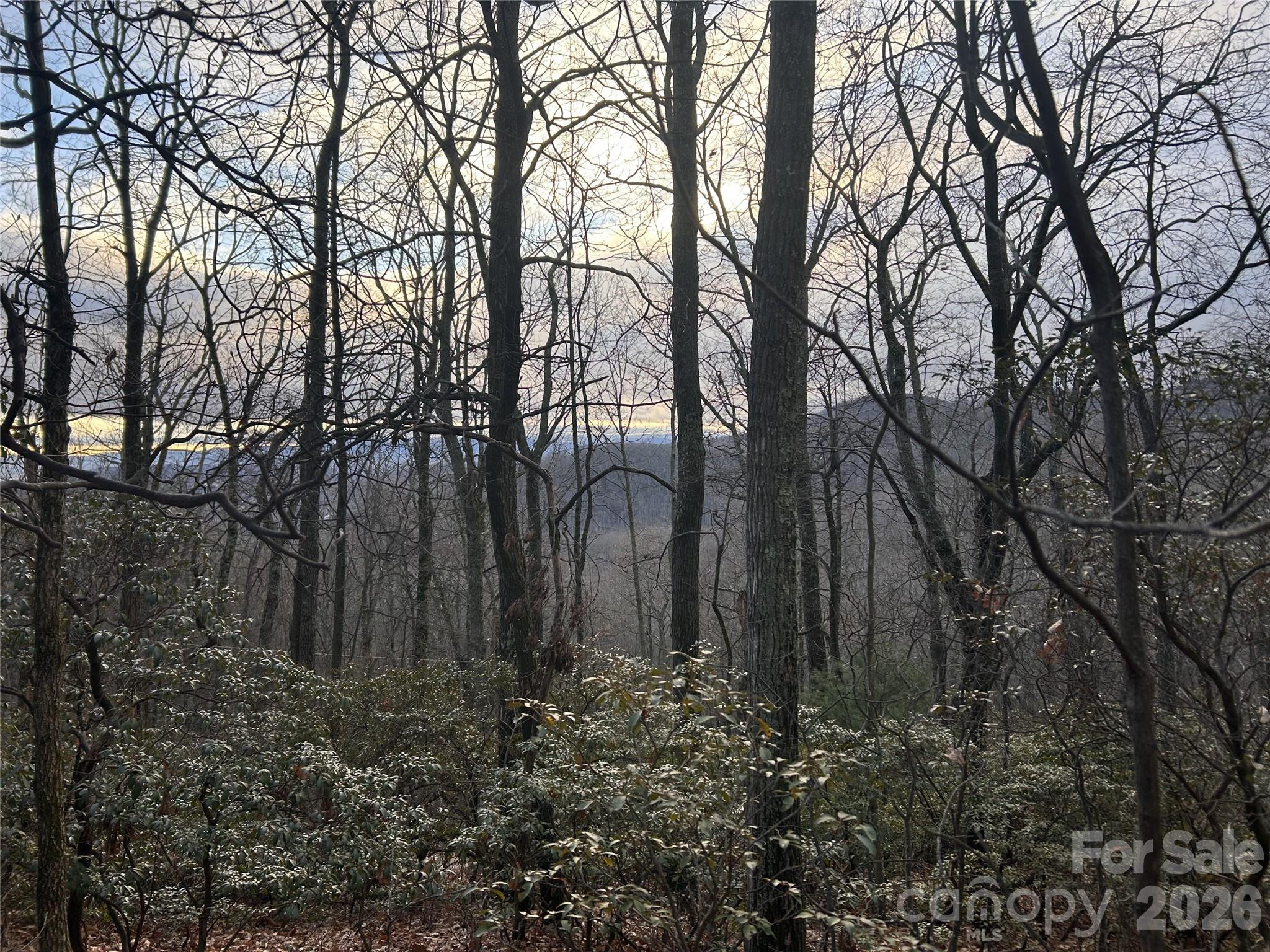 Hickory Acres - Land