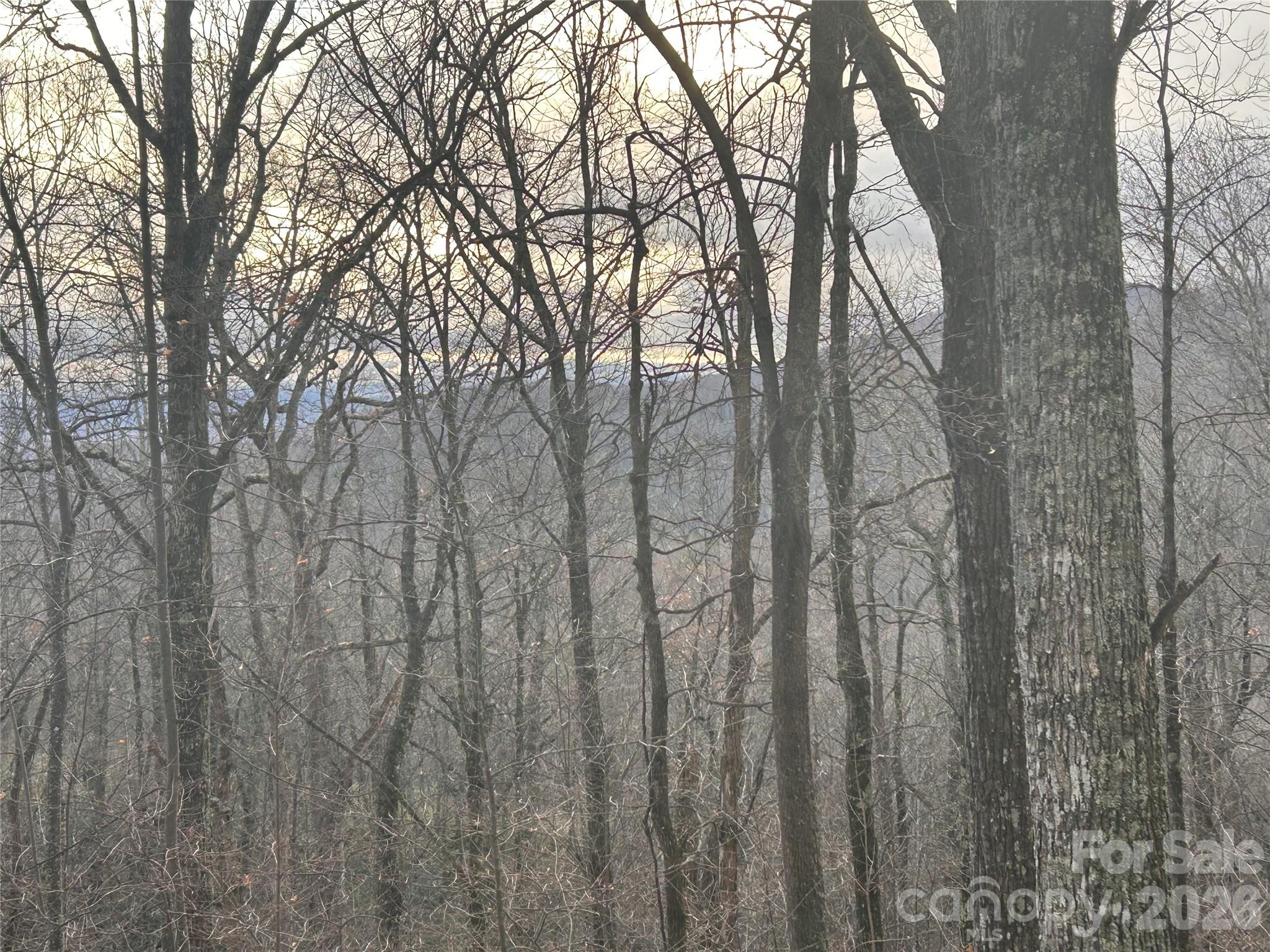 Hickory Acres - Land