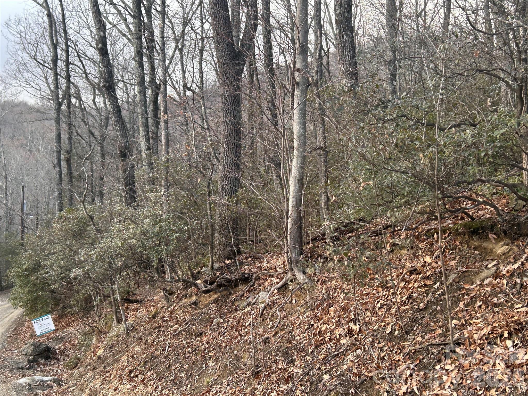 Hickory Acres - Land