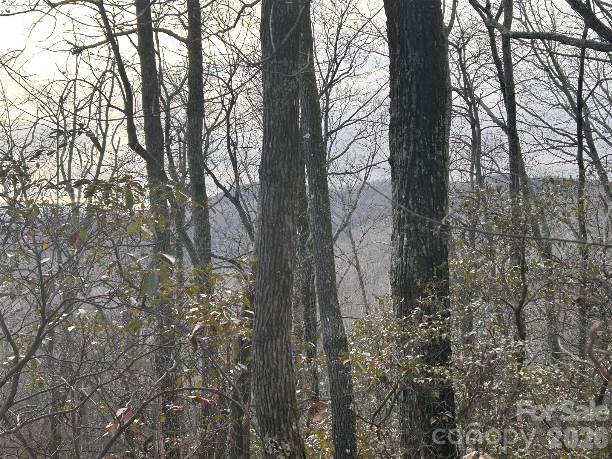 Hickory Acres - Land