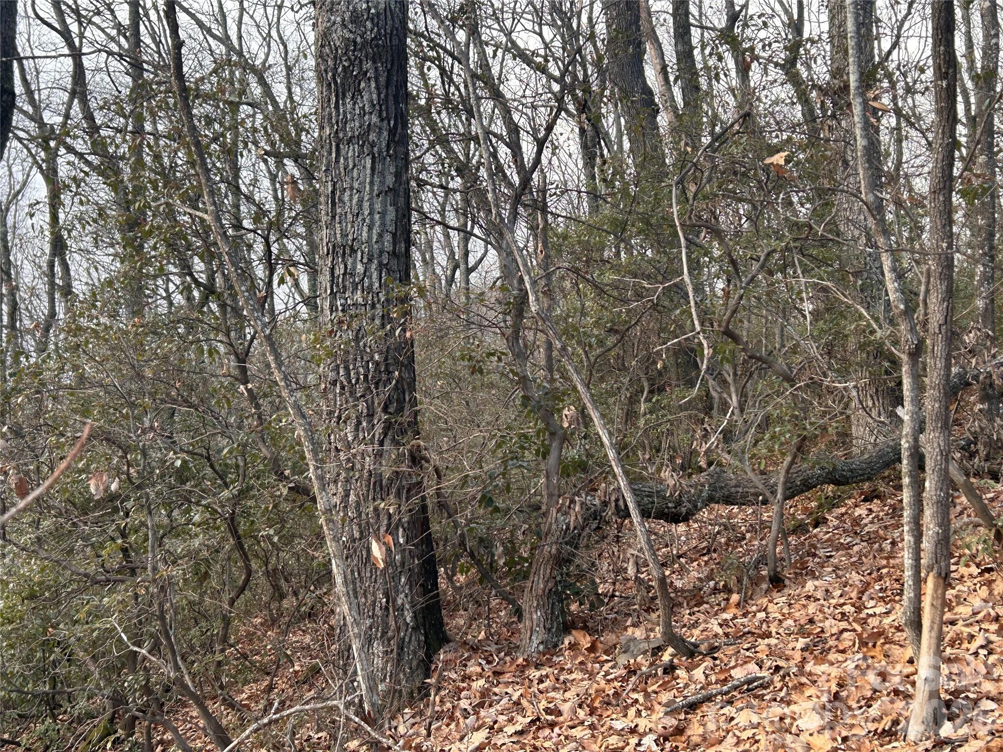 Hickory Acres - Land