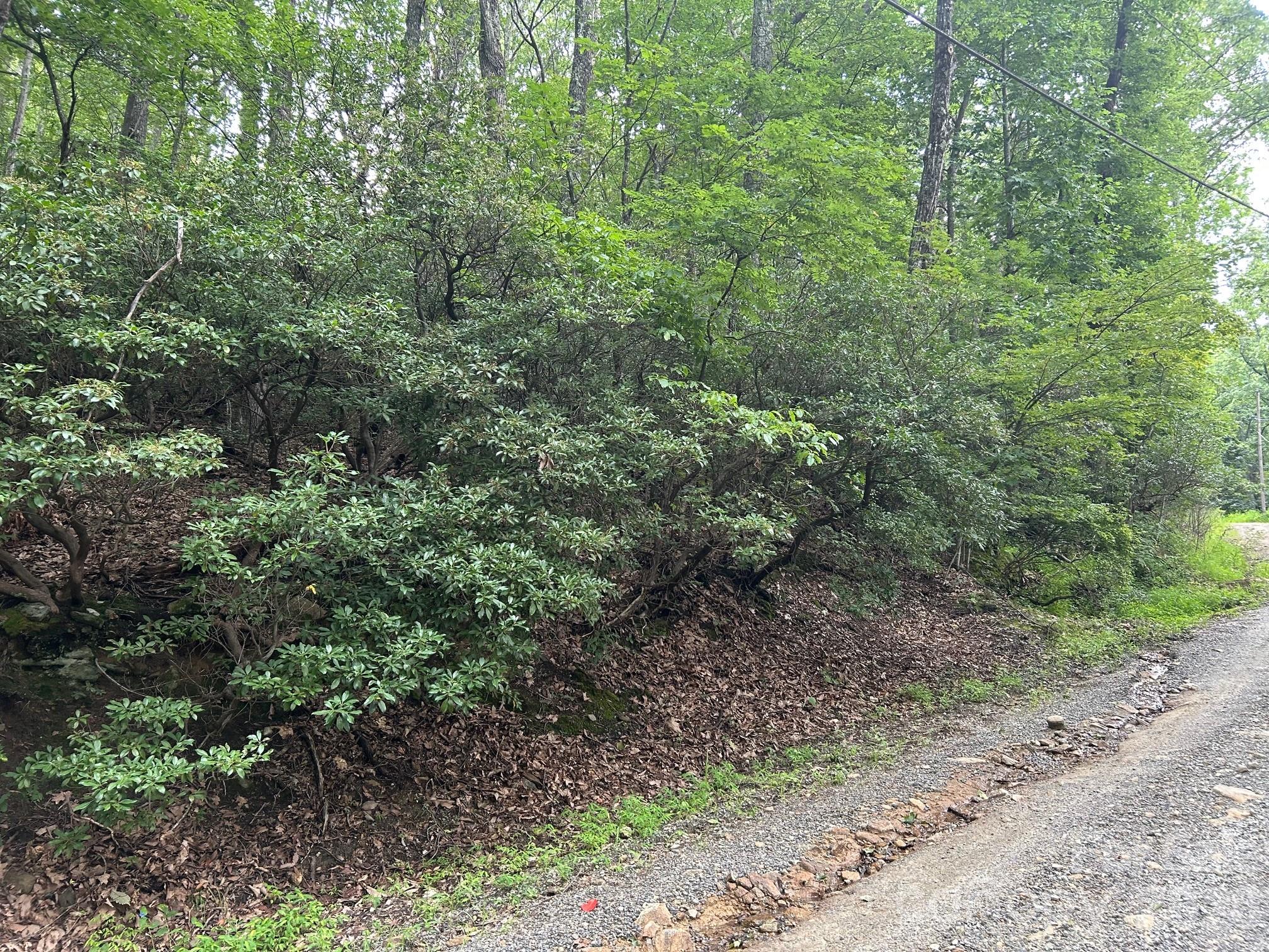 0 Pine Ridge Road 21