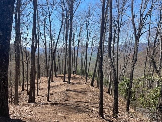 Balsam Mountain Preserve - Land