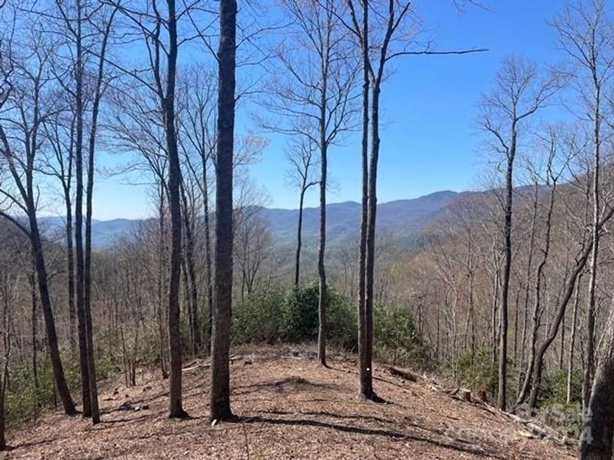If you’re looking for a property to build a private, peaceful mountain home, look no further! Located just at 3,700 ft elevation, making a lovely escape from the summer heat, with lovely Northern and Western views in Balsam Mountain Preserve. Balsam Mountain Preserve is a private 4,400-acre club community with 3,200 acres of conservation land and completed amenities featuring golf, equestrian, scenic trails, tennis and dining. The stunning new facilities at Doubletop Village, including the Summit House Restaurant and Mine Tavern, are now open to members and their guests.