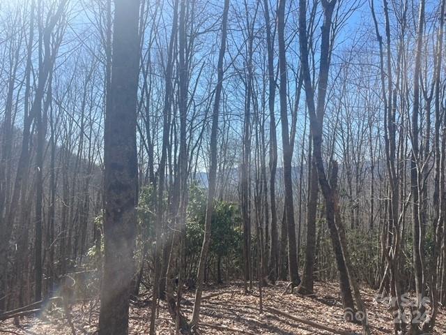 Balsam Mountain Preserve - Land