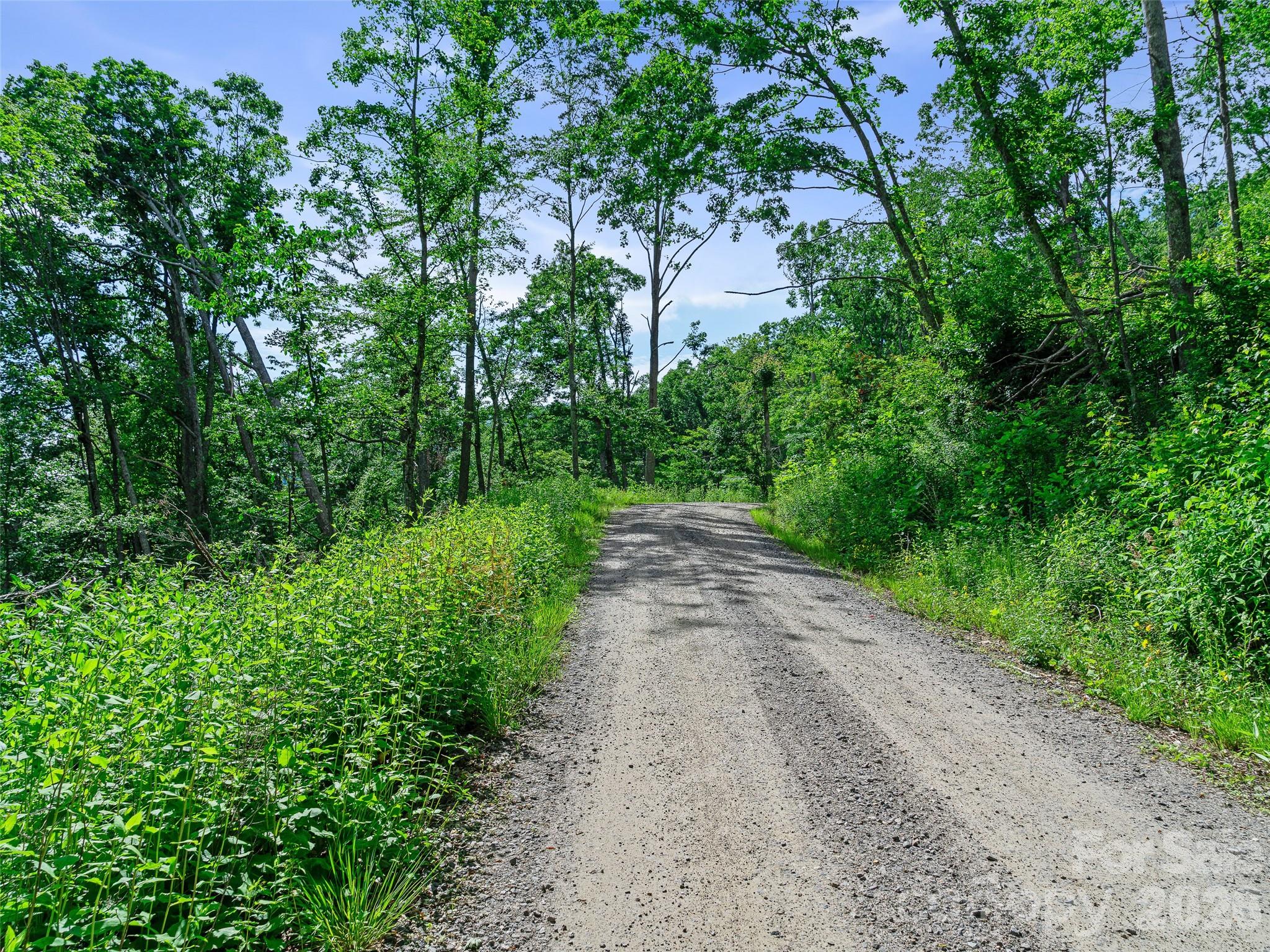 0 Ogle Meadows Road 5