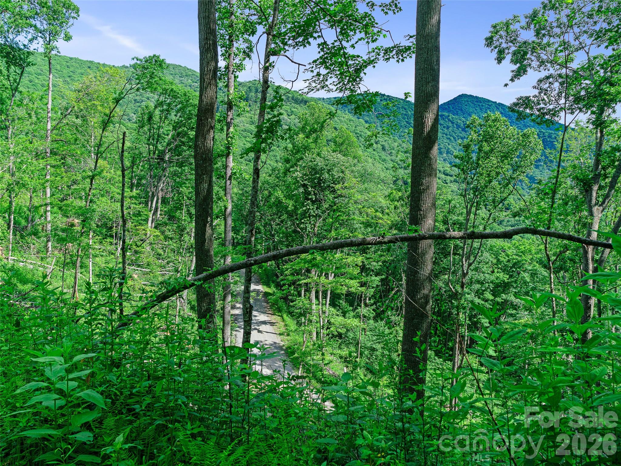 0 Ogle Meadows Road 5