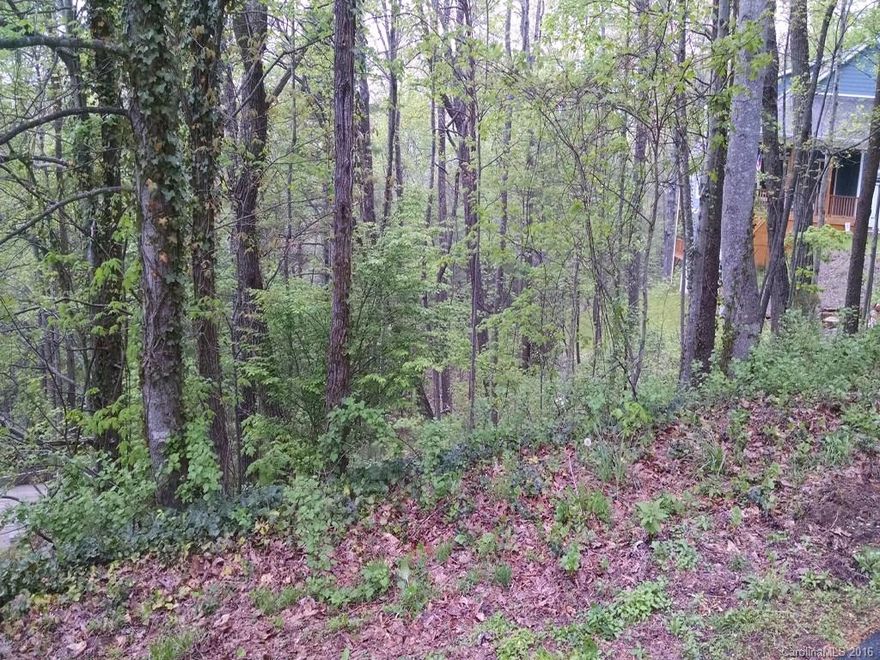 Great value for this gently sloping lot in a gated community. Only a ten minute drive to downtown Asheville via 4-lane highway. This gently sloping lot offers great winter views. Priced $11,700 below tax value. Low HOA fees includes community park. Most home values in the $300,00+. Three bedroom septic permit on file. City water available.