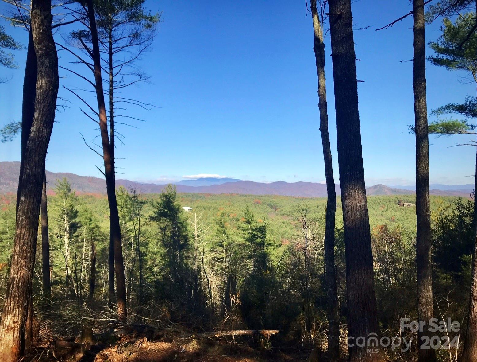 The Coves Mountain River Club - Land