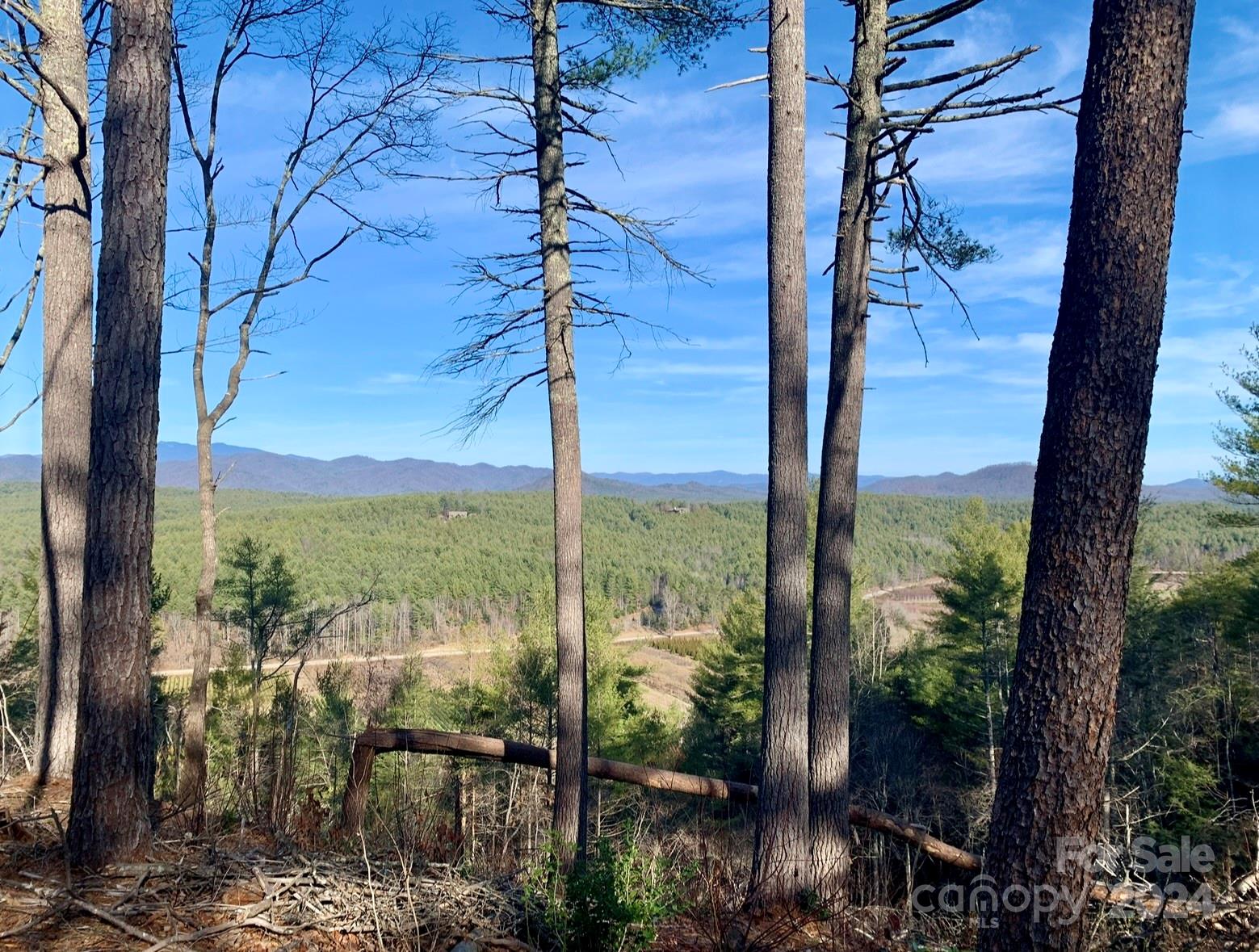 The Coves Mountain River Club - Land