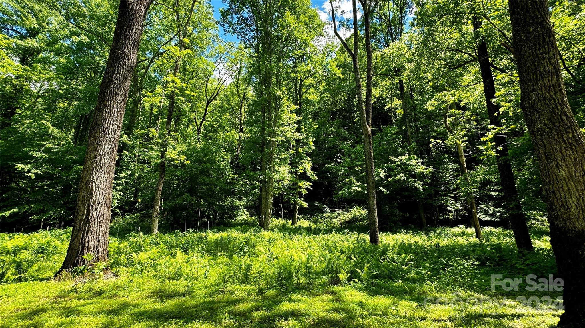 The Coves Mountain River Club - Land