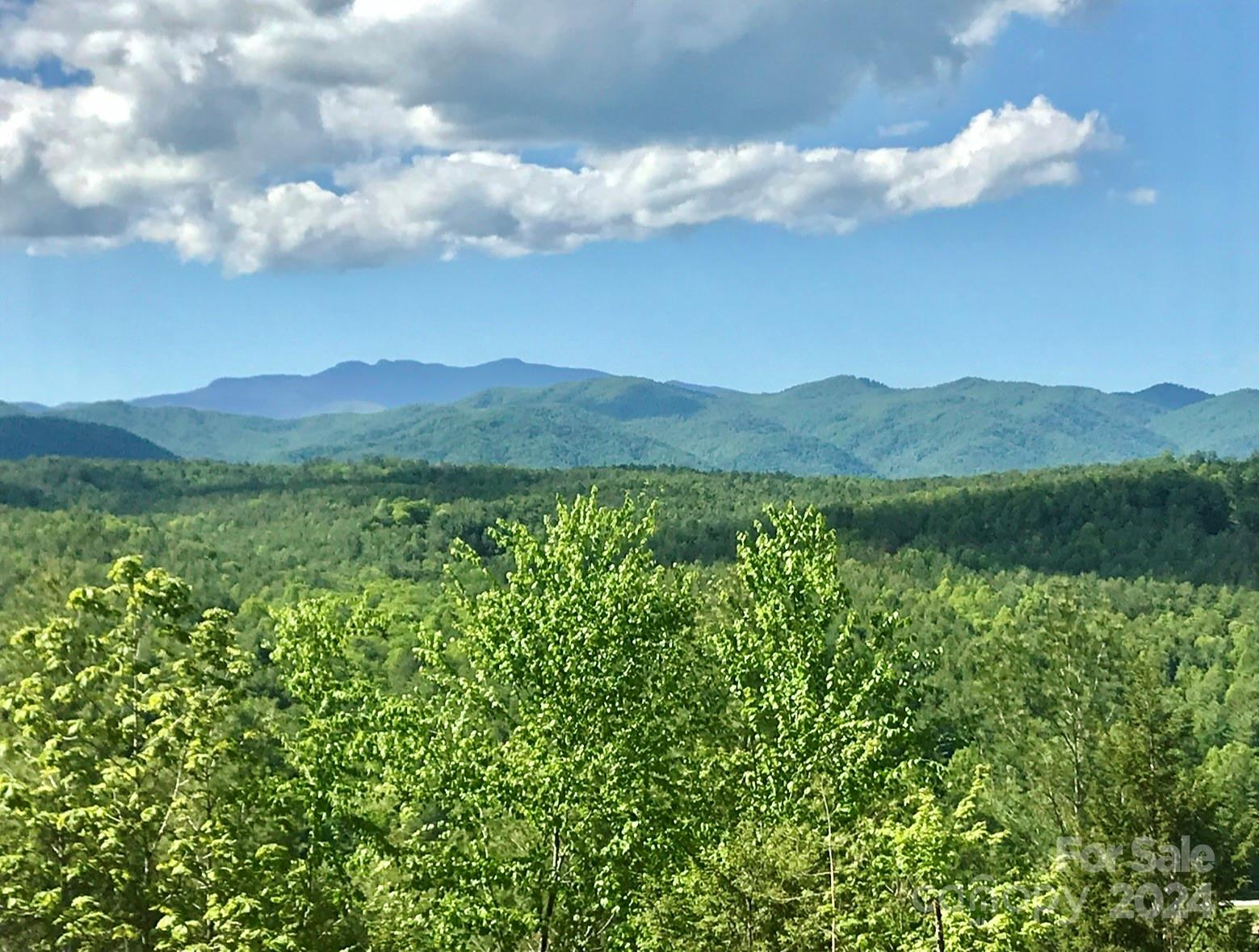 The Coves Mountain River Club - Land