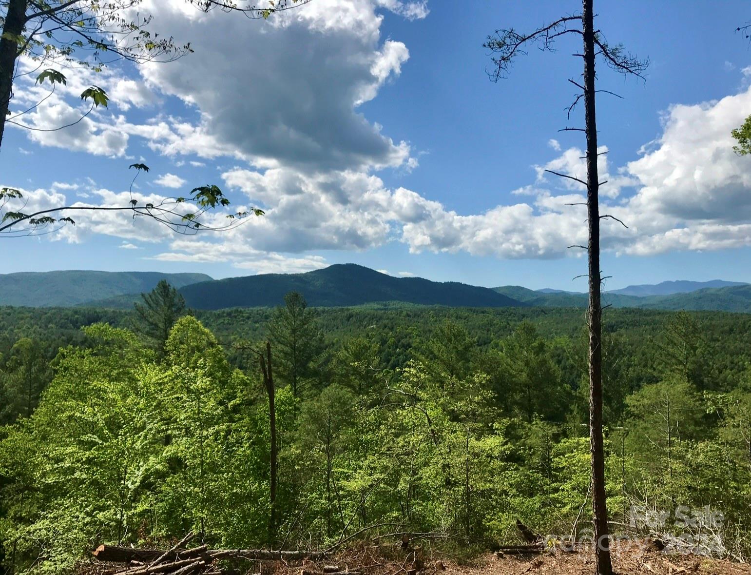 The Coves Mountain River Club - Land