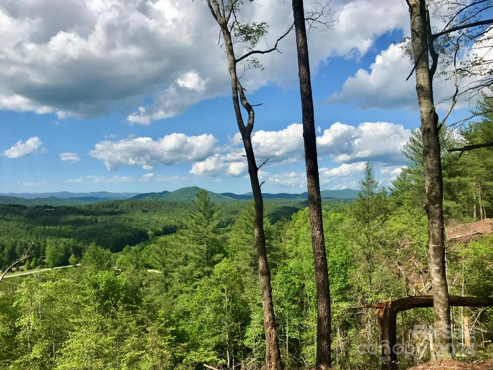 The Coves Mountain River Club - Land