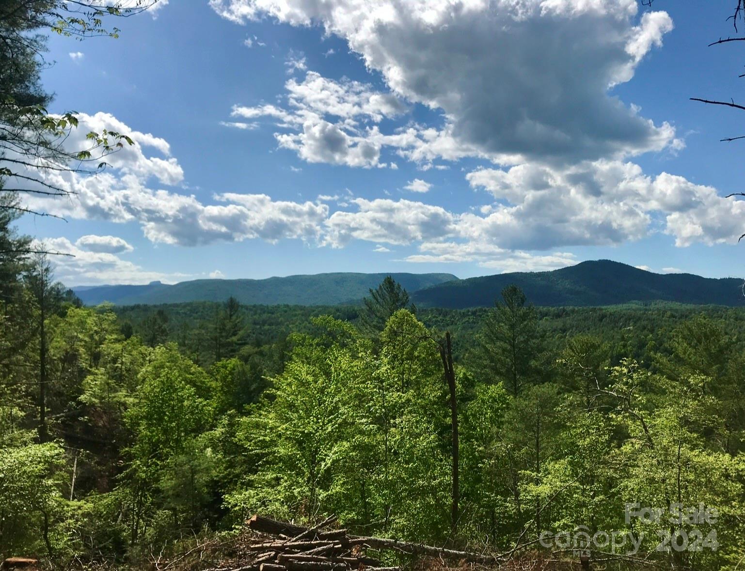 The Coves Mountain River Club - Land