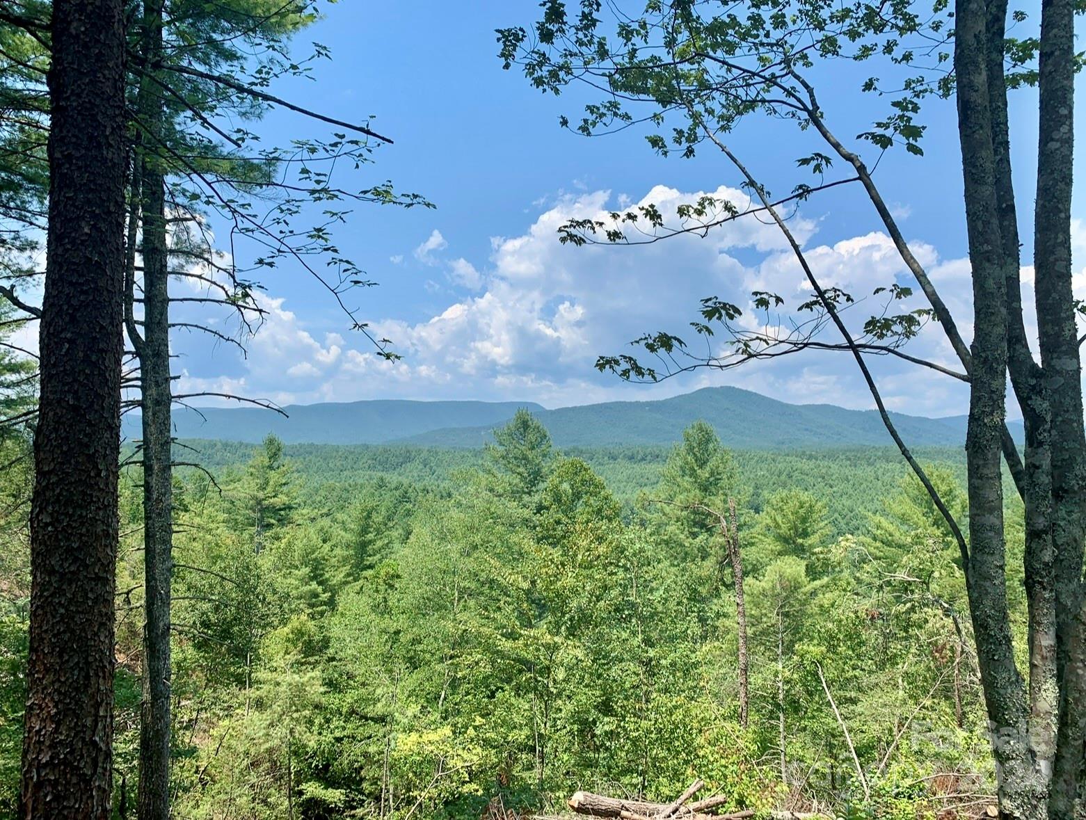 The Coves Mountain River Club - Land