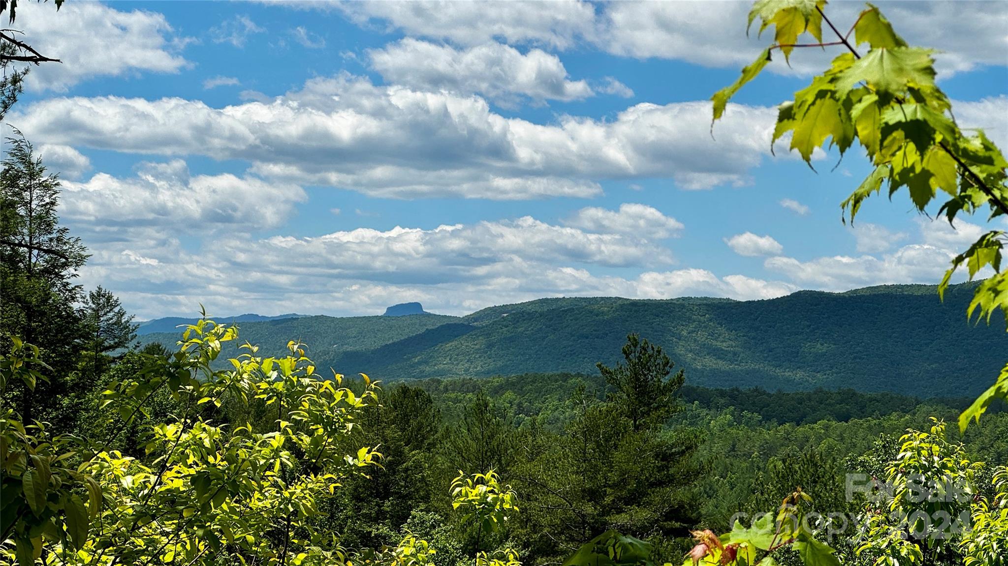 The Coves Mountain River Club - Land