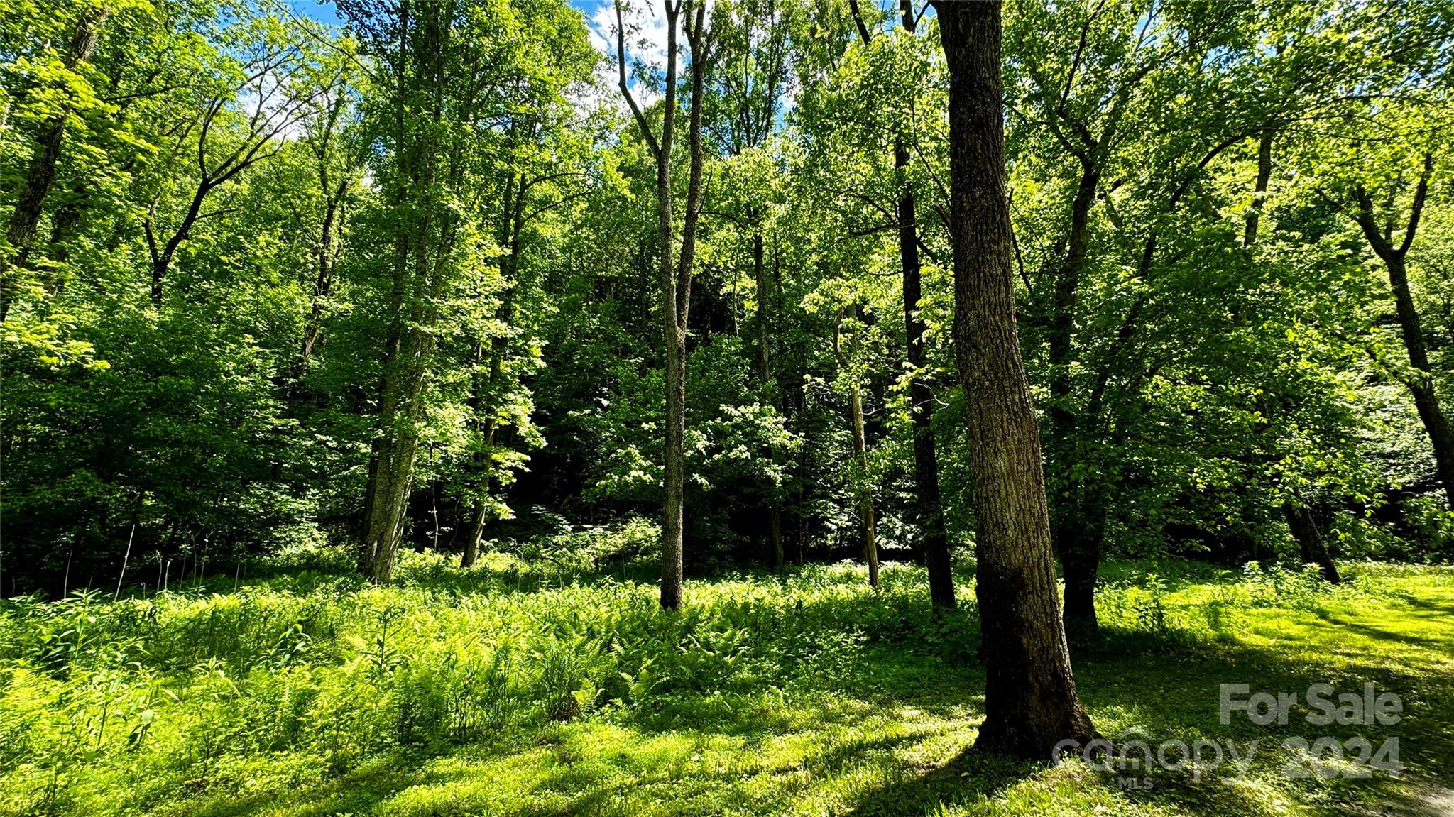 The Coves Mountain River Club - Land