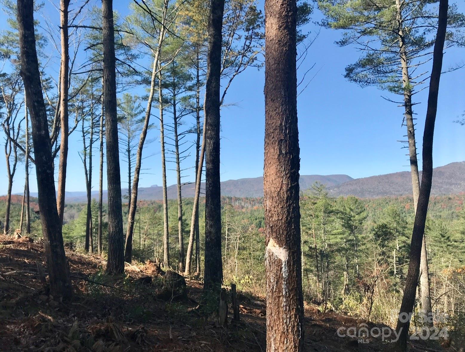 The Coves Mountain River Club - Land