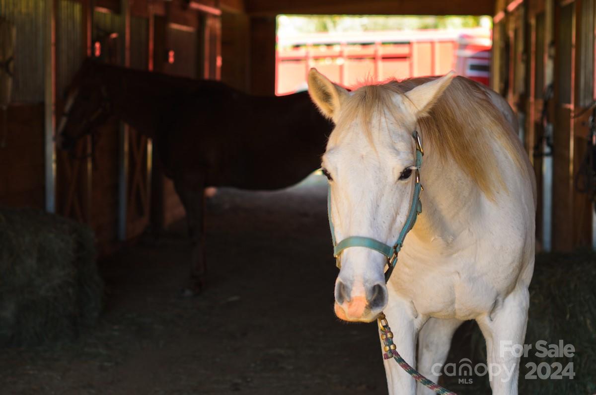 The Coves Mountain River Club - Land