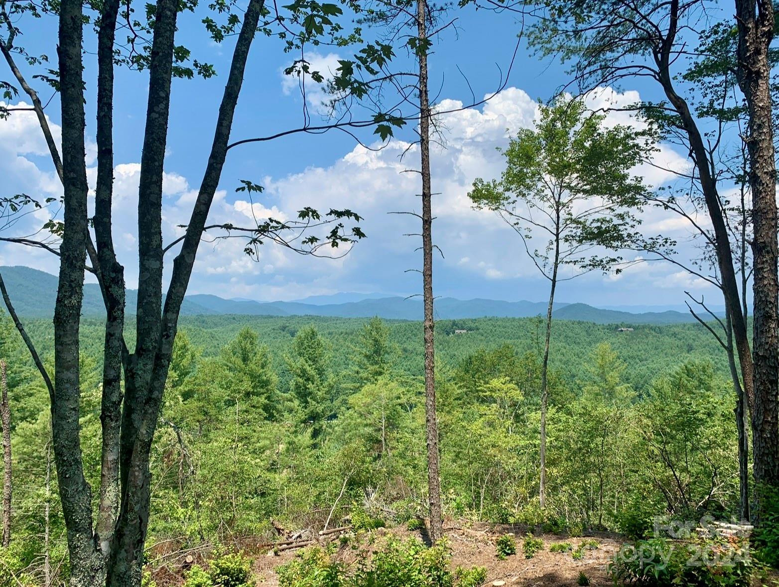 The Coves Mountain River Club - Land