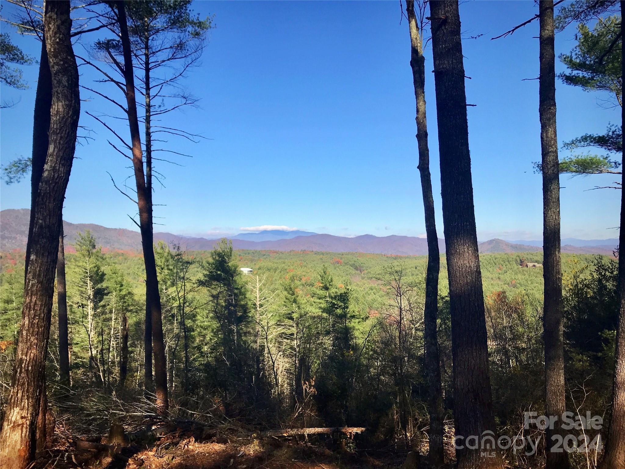 The Coves Mountain River Club - Land