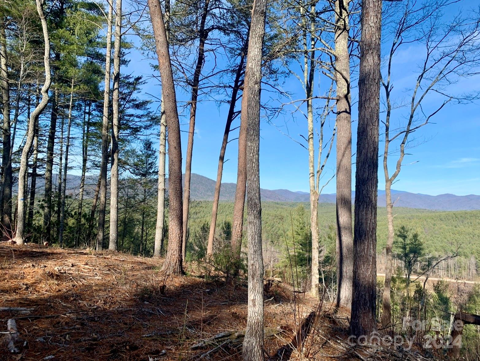 The Coves Mountain River Club - Land