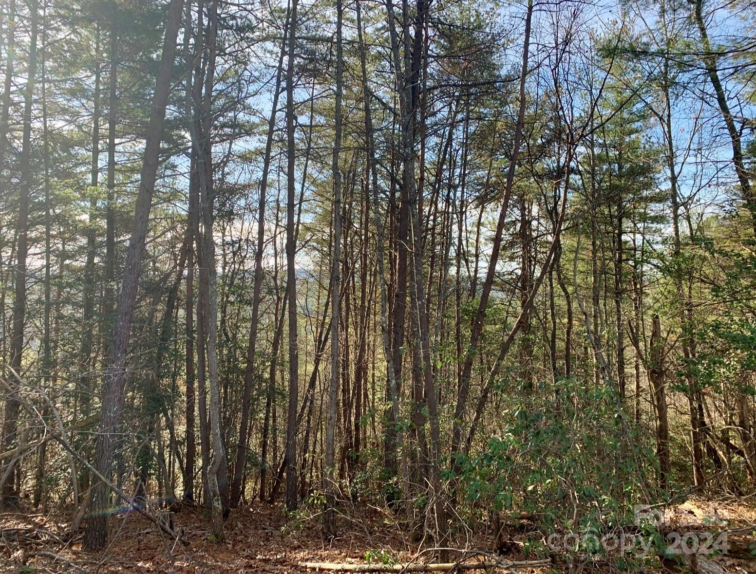 The Coves Mountain River Club - Land