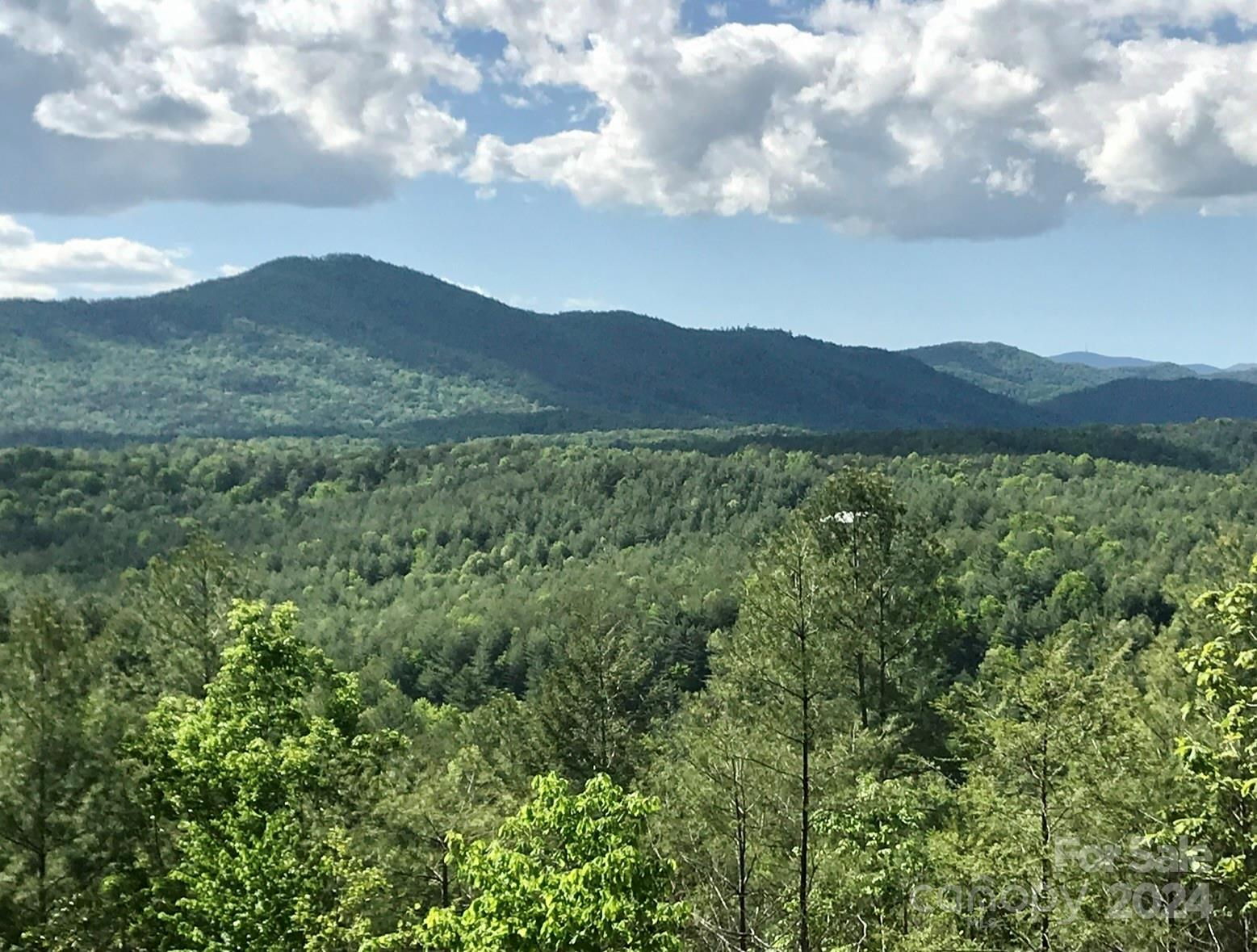 The Coves Mountain River Club - Land