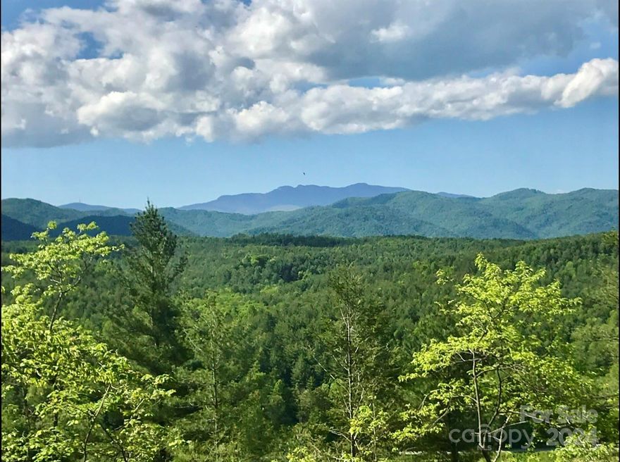 This homesite  is a blend of natural beauty and upscale amenities. Situated in The Coves Mountain River Club, a prestigious gated community in the Blue Ridge Mountains, this 14+ acre property offers stunning, year-round views of notable peaks such as Grandfather Mountain, Adams Knob, Brown Mountain, and Table Rock. Adding to its appeal is the frontage on the Johns River—a pristine and tranquil spot ideal for fishing and kayaking. The community itself enriches the living experience with a variety of amenities. Residents enjoy access to a clubhouse complete with a fitness center and a host of social events, a swimming pool, equestrian facilities, pickleball courts, and extensive nature trails for hiking and exploration. And it's in close proximity to Blowing Rock, Morganton, and Hickory, along with being only 75 mins from the Charlotte Airport, adds a layer of convenience to its secluded charm. This homesite offers a retreat amid some of the most picturesque landscapes in the region.