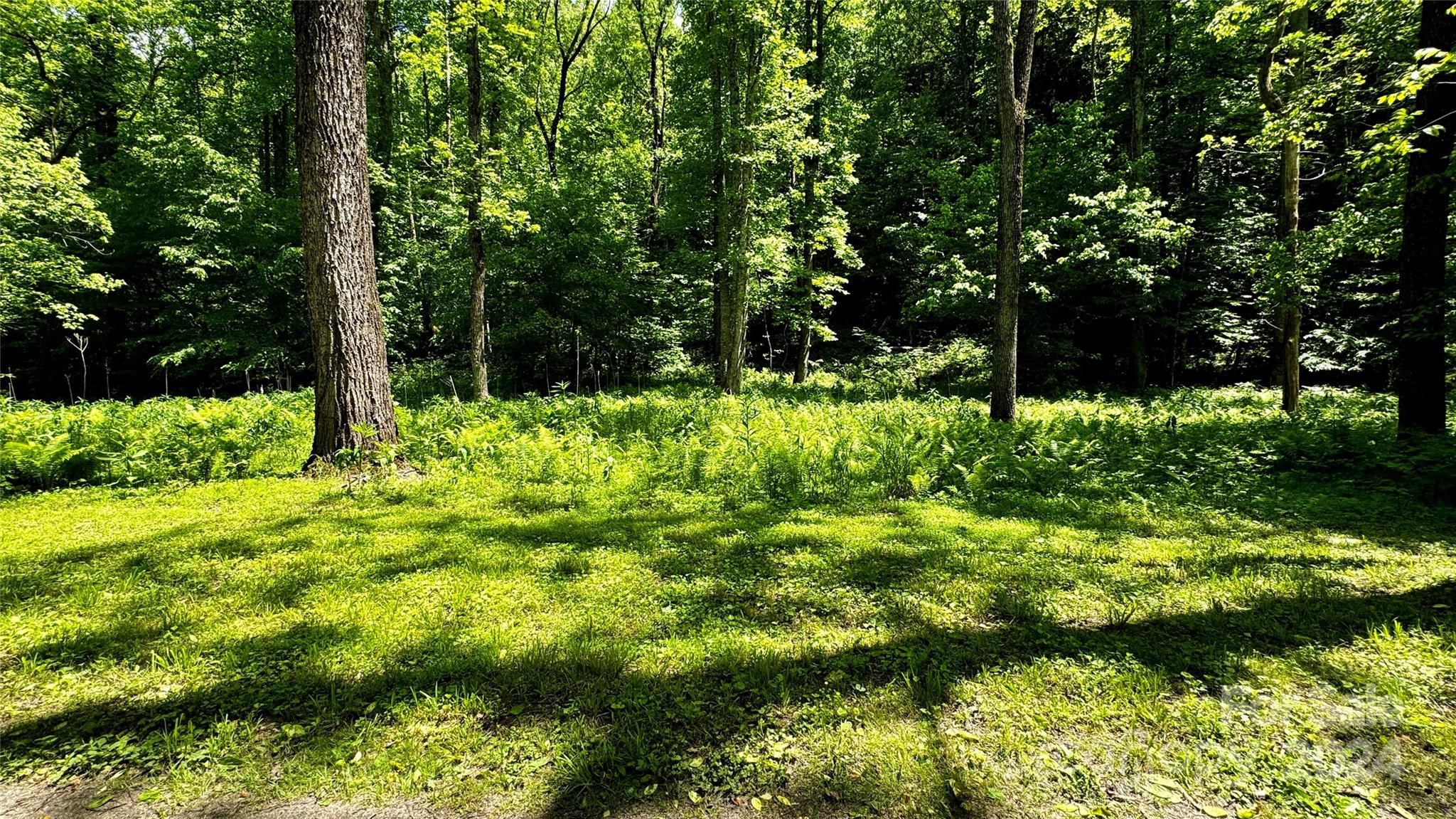 The Coves Mountain River Club - Land