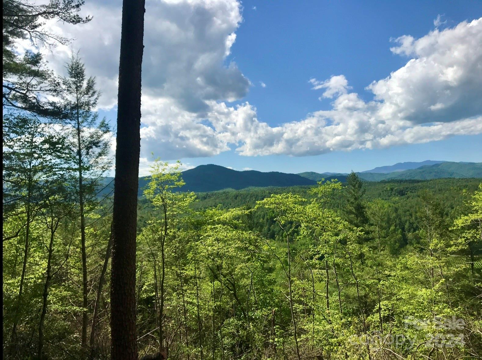 The Coves Mountain River Club - Land