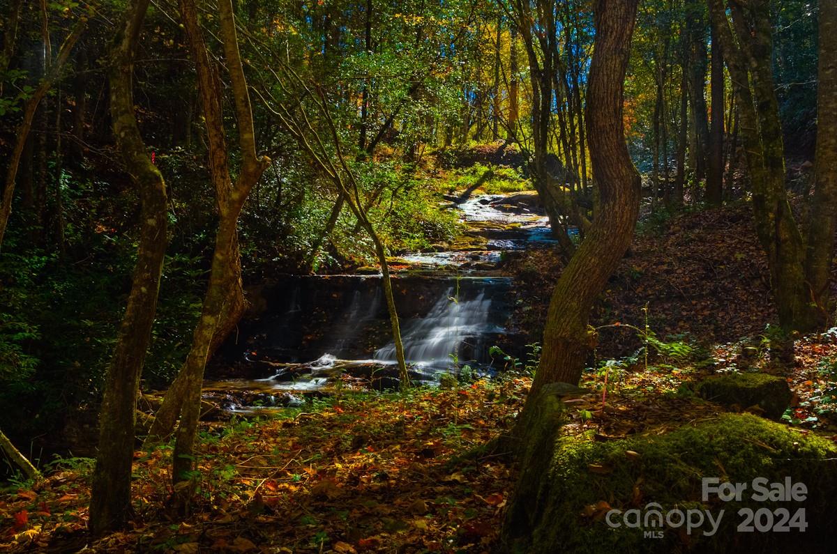 The Coves Mountain River Club - Land