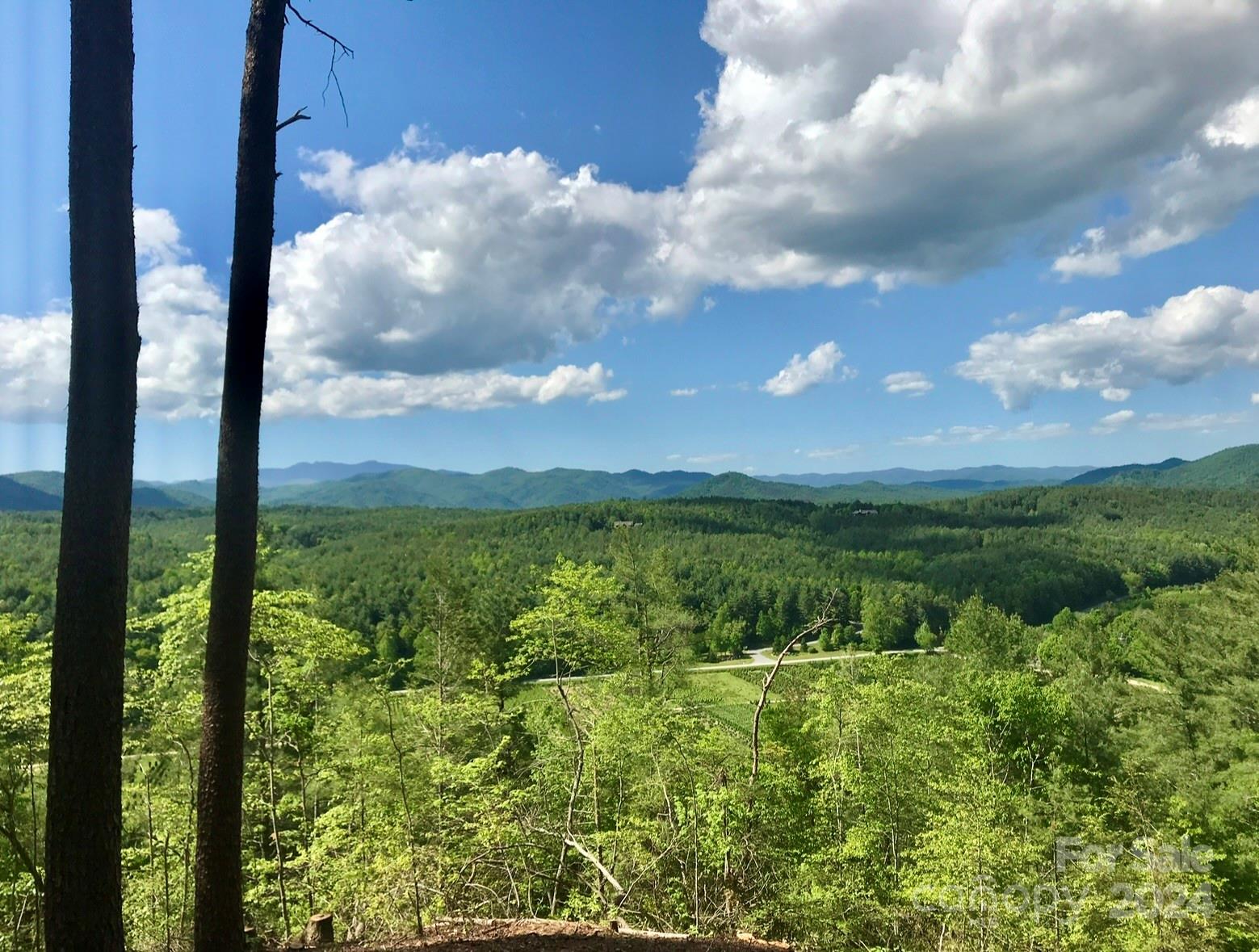 The Coves Mountain River Club - Land