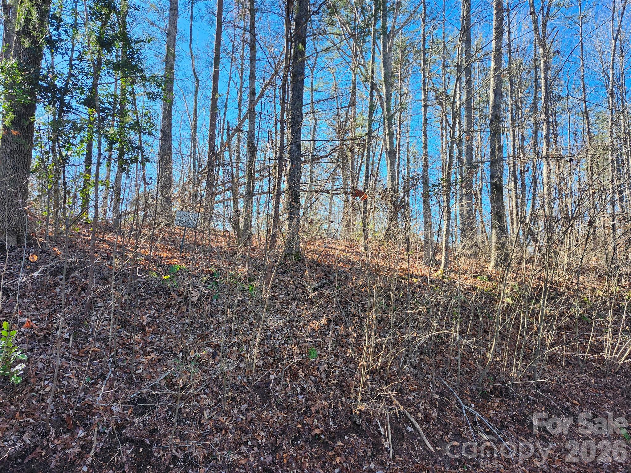 Vista At The Riverbank - Land