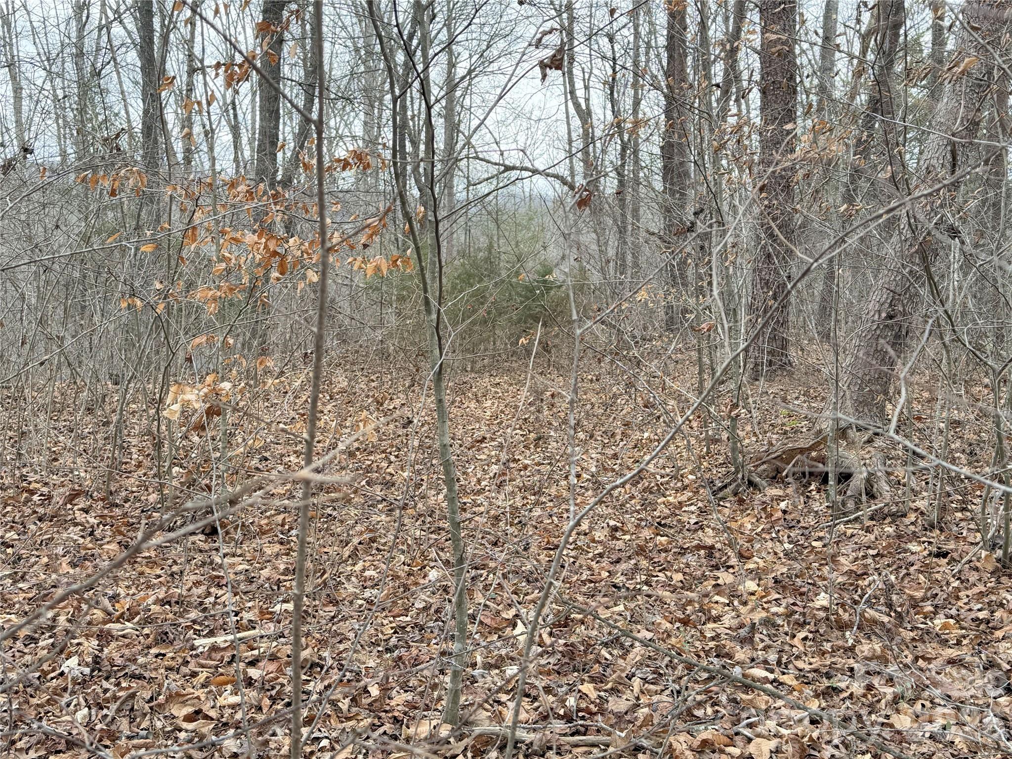 0000 E Rambling Creek Drive 26