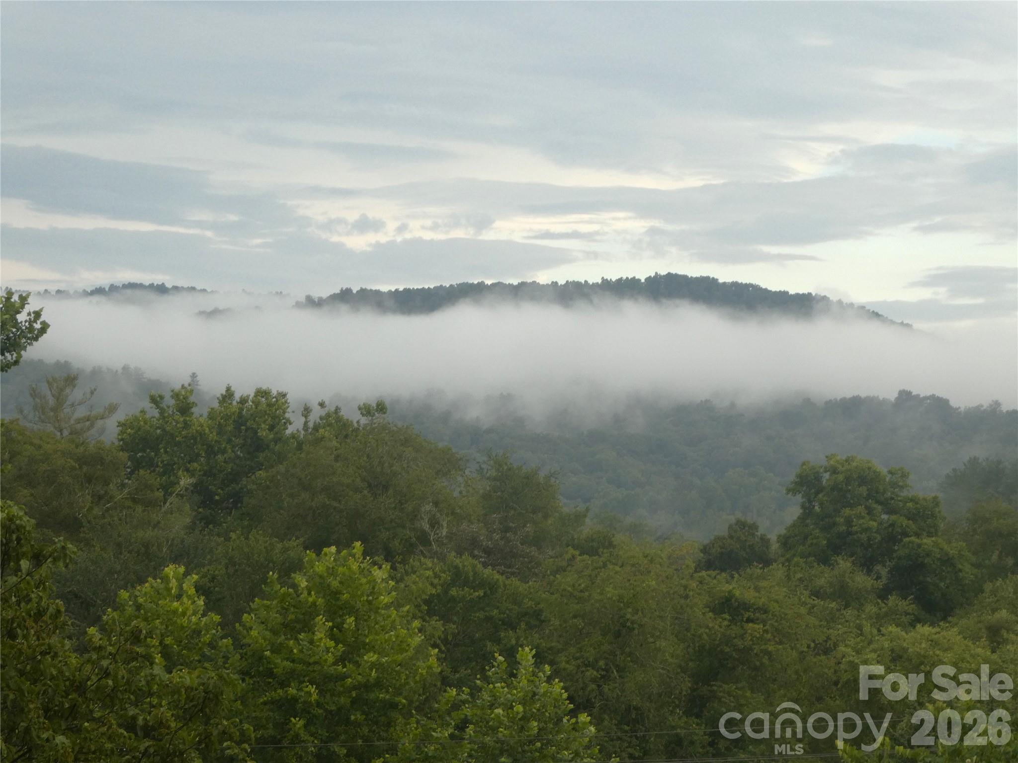 2008 Deep Woods Drive